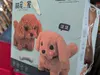 Robot Puppy Scam