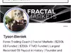 Photo 1 proof in review #17876836 about Fractal Markets FX
